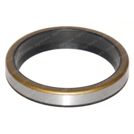 RM METAL CAGE SCRAPER SEAL