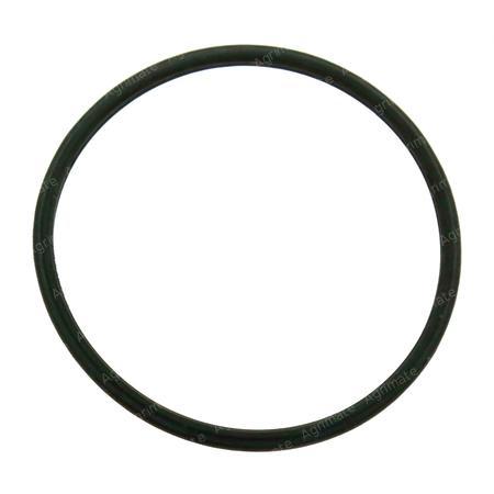 THERMOSTAT SEAL