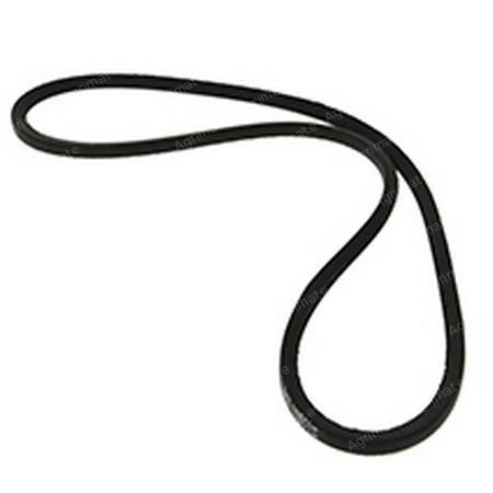 RIBBED BELT