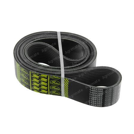 RIBBED BELT
12PK - 1580 La