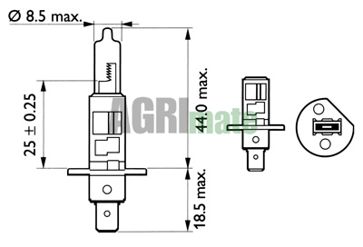 Technical drawing for HALOGEN BULB
12V – 55W – P14.55 – H1