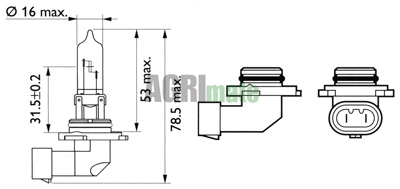 Technical drawing for HALOGEN BULB
12V – 65W – P20d – HB3 – BLIS 1 PC