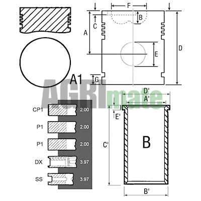 Technical drawing for PISTON-LINER KIT
Ø 80.96 MM