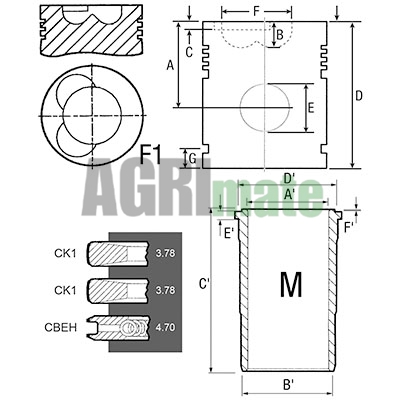 Technical drawing for PISTON-LINER KIT
Ø 116 MM