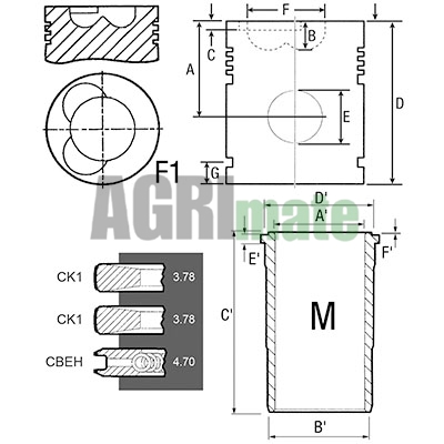 Technical drawing for PISTON-LINER KIT
Ø 116 MM