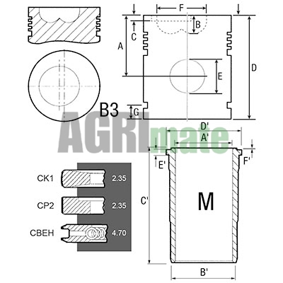 Technical drawing for PISTON-LINER KIT
Ø 98.42 MM