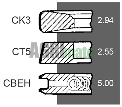 Technical drawing for PISTON RING SET
STD