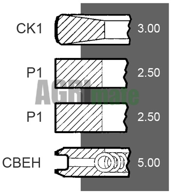 Technical drawing for PISTON RING SET
Ø 100 MM – STD