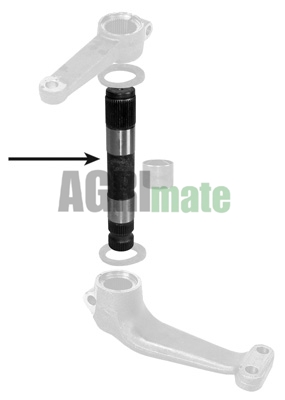 Technical drawing for STEERING ARM PIN
Ø 49 MM – Z 42/44 – L 290 MM